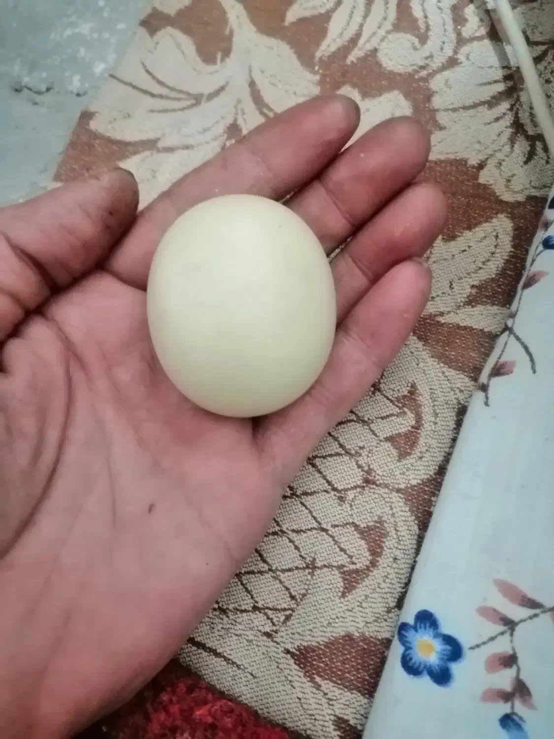 سنگ الماس|جواهرات|سنندج, |دیوار