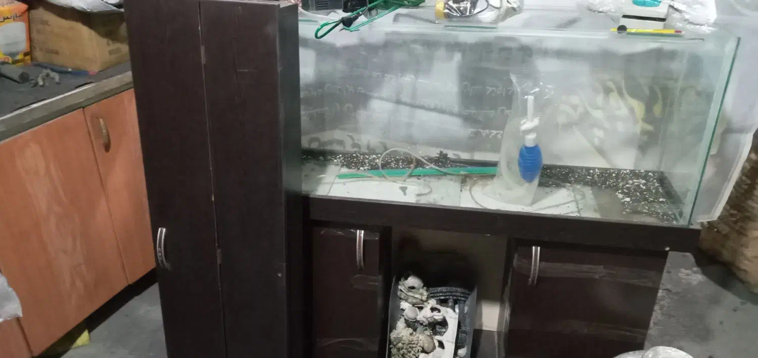 آکواریوم|ماهی|پاکدشت, خاتون آباد|دیوار