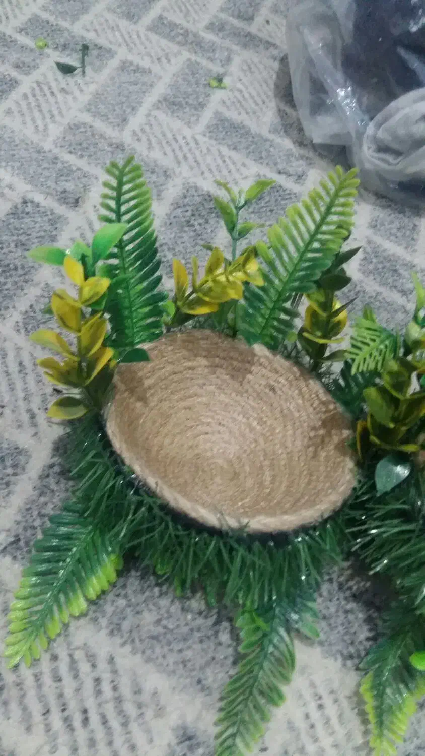 لانه سهره قناری فنچ|لوازم جانبی حیوانات|تهران, باغ فردوس|دیوار