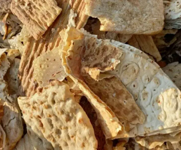 نون خشک|لوازم جانبی حیوانات|رشت, یخسازی|دیوار