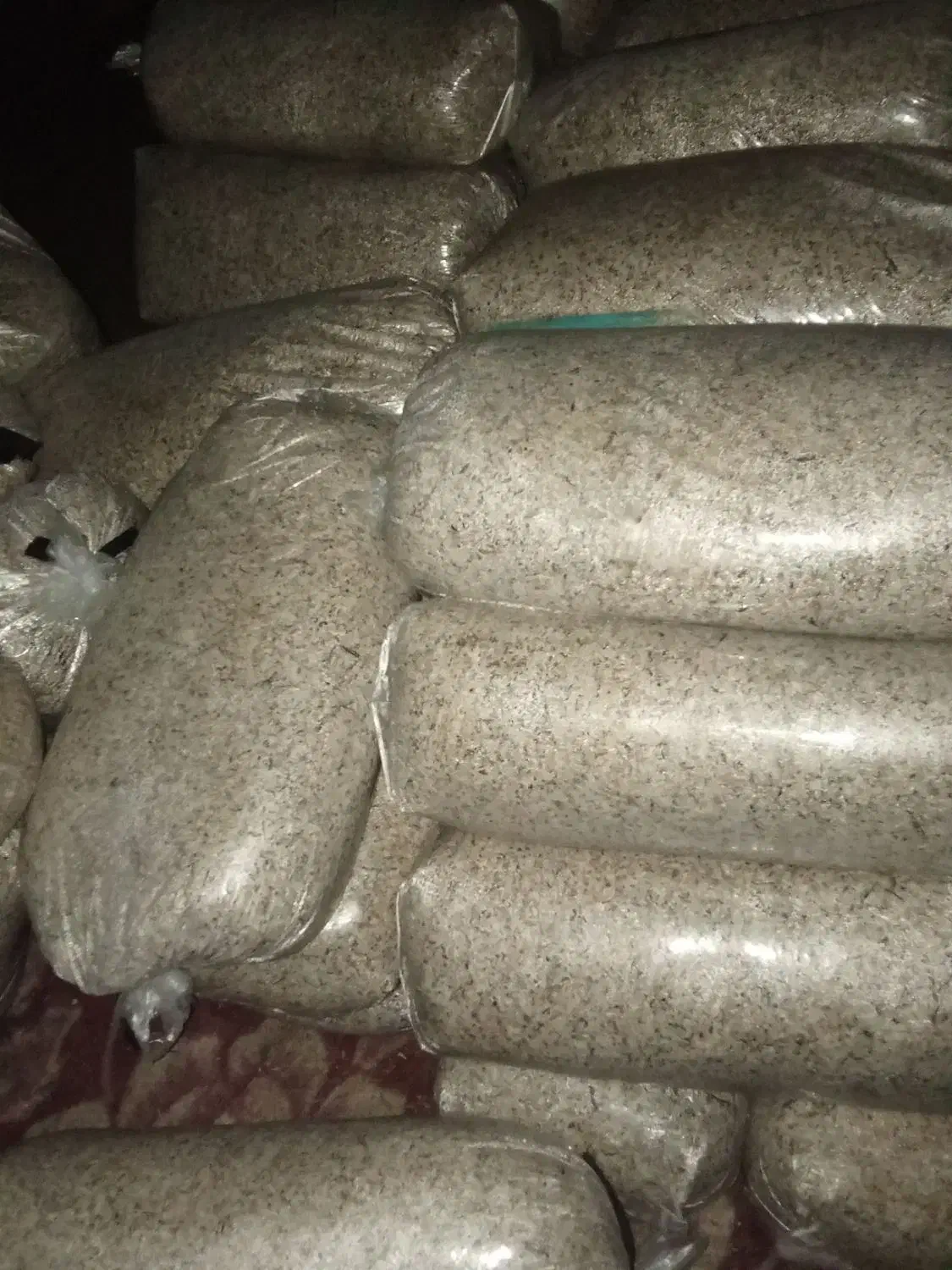 پرک بفروش می رسد|حیوانات مزرعه|قشلاق دشت, |دیوار