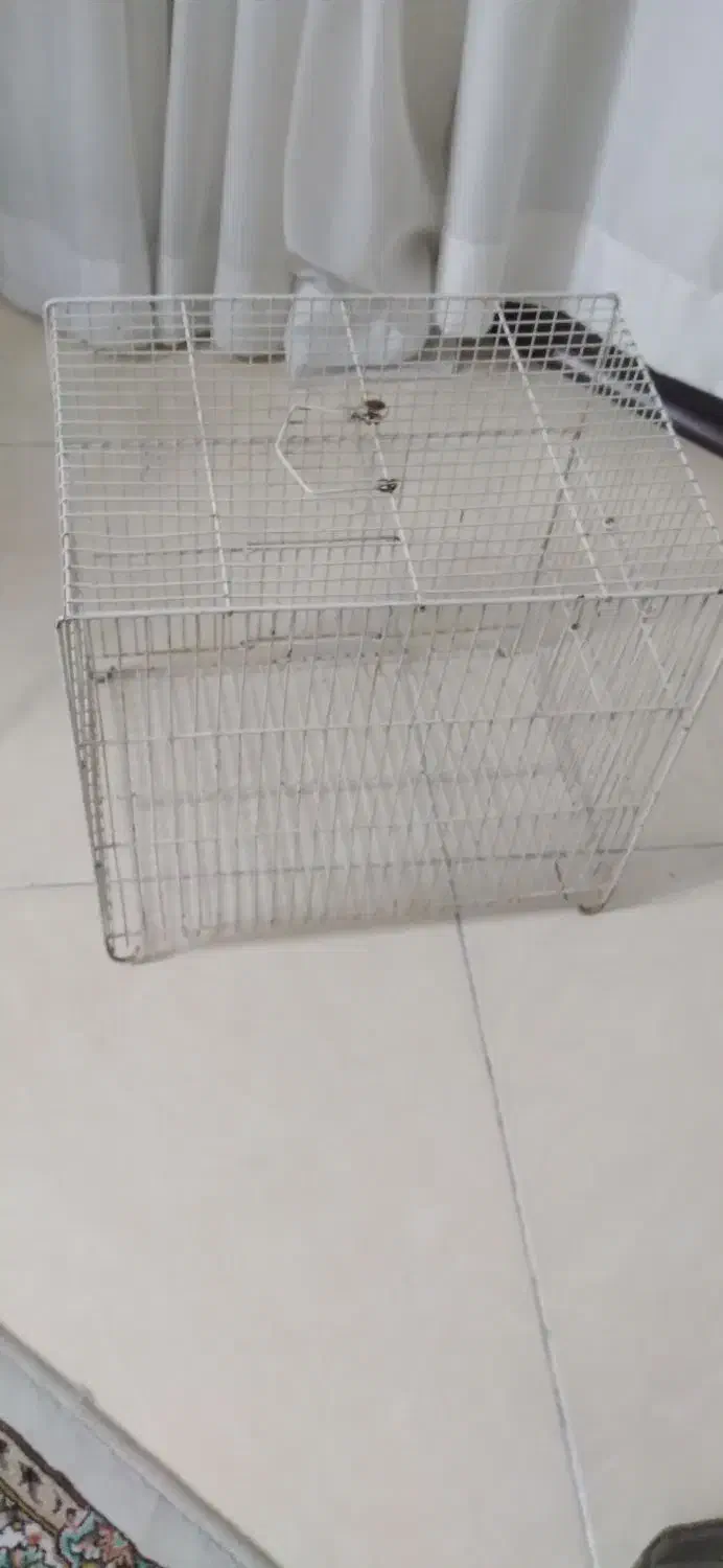 قفس|لوازم جانبی حیوانات|مشهد, شهرک لشکر (شهرک غرب)|دیوار