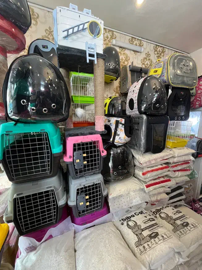 شهر کوله اسکرچر باکس|لوازم جانبی حیوانات|مشهد, گلبرگ|دیوار