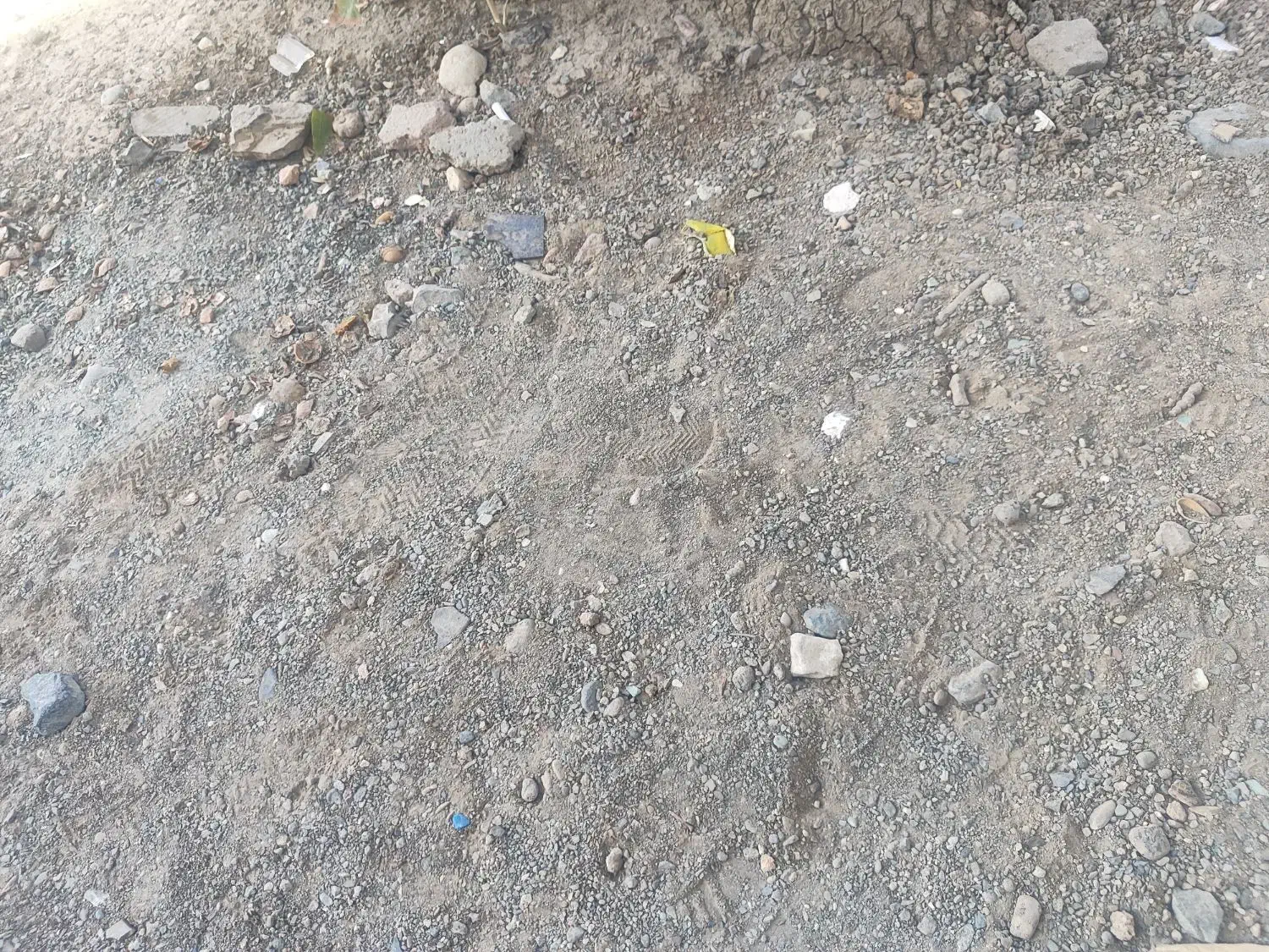 زمین آزاد شده مسکونی 250 متری|فروش زمین و ملک کلنگی|رومشکان, |دیوار