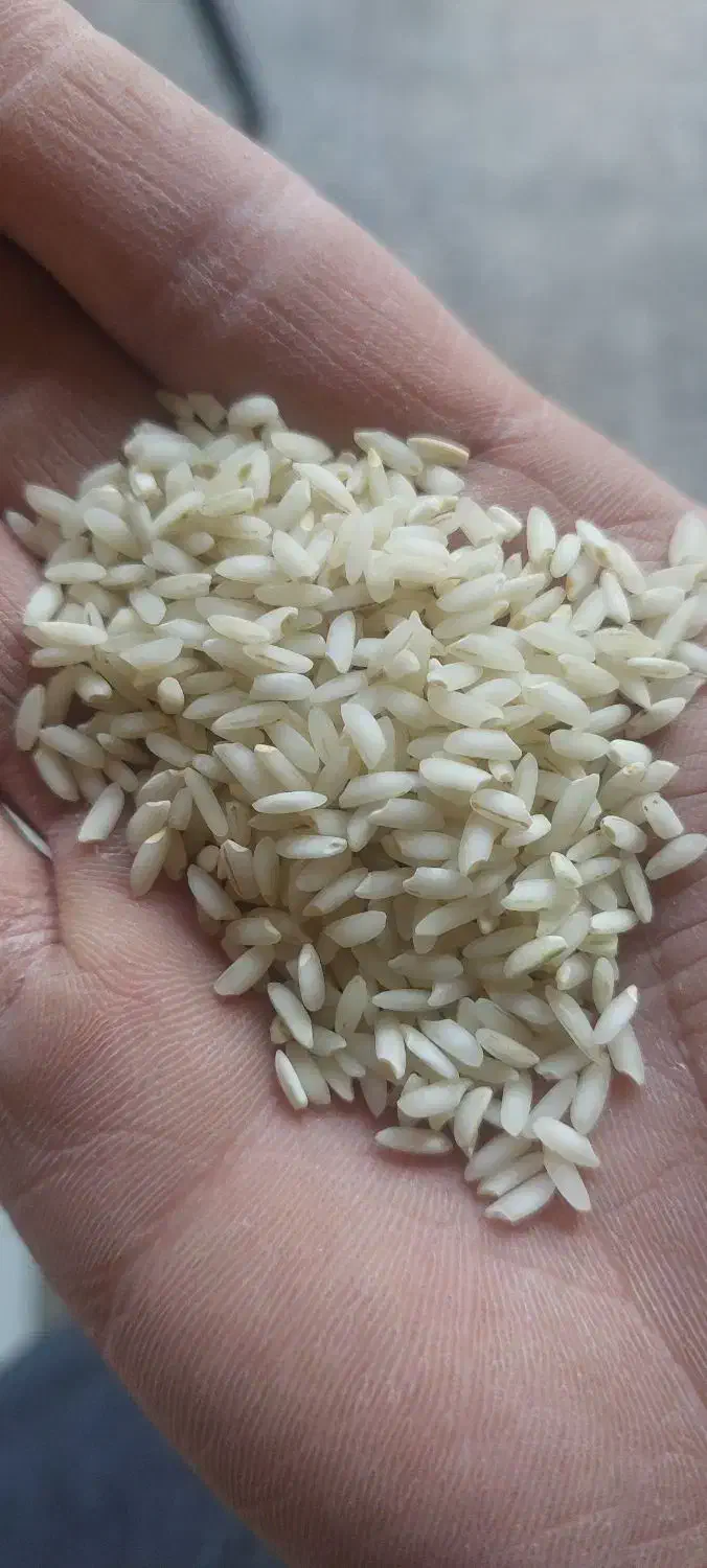 برنج عنبر بو درجه ۱|خوردنی و آشامیدنی|کوهدشت, |دیوار