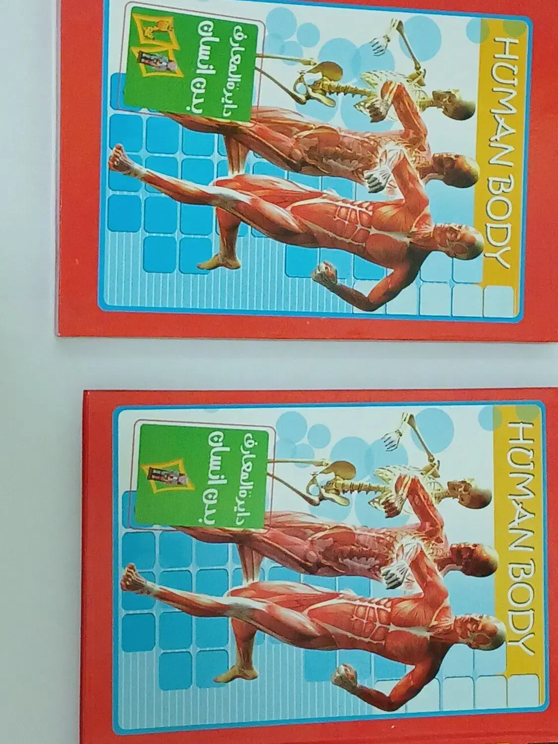 دایرةالمعارف بدن انسان|کتاب و مجله آموزشی|شهرضا, |دیوار