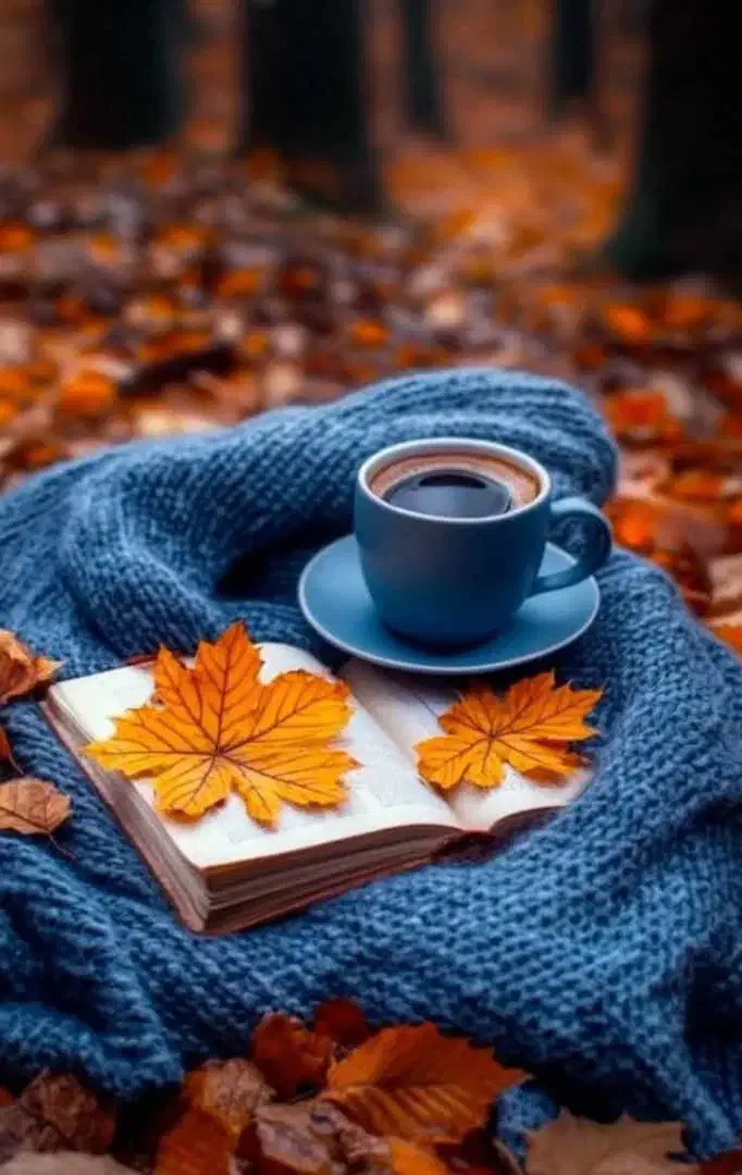 راهنمایی|فعالیت داوطلبانه تحقیقاتی|کرمان, |دیوار