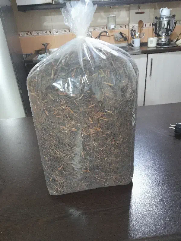 چای لاهیجان|خوردنی و آشامیدنی|تهران, دولاب|دیوار