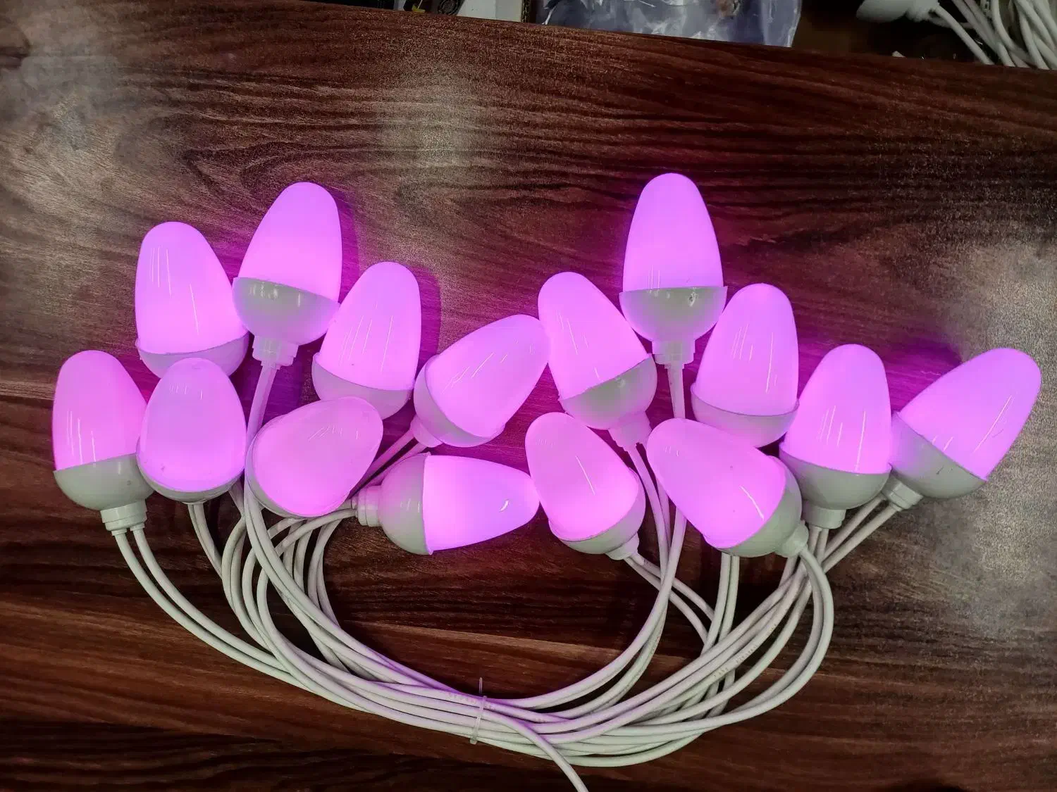 ریسه چراغ رنگی بلوطی|ریسه و چراغ تزئینی|اهواز, کوی نفت|دیوار