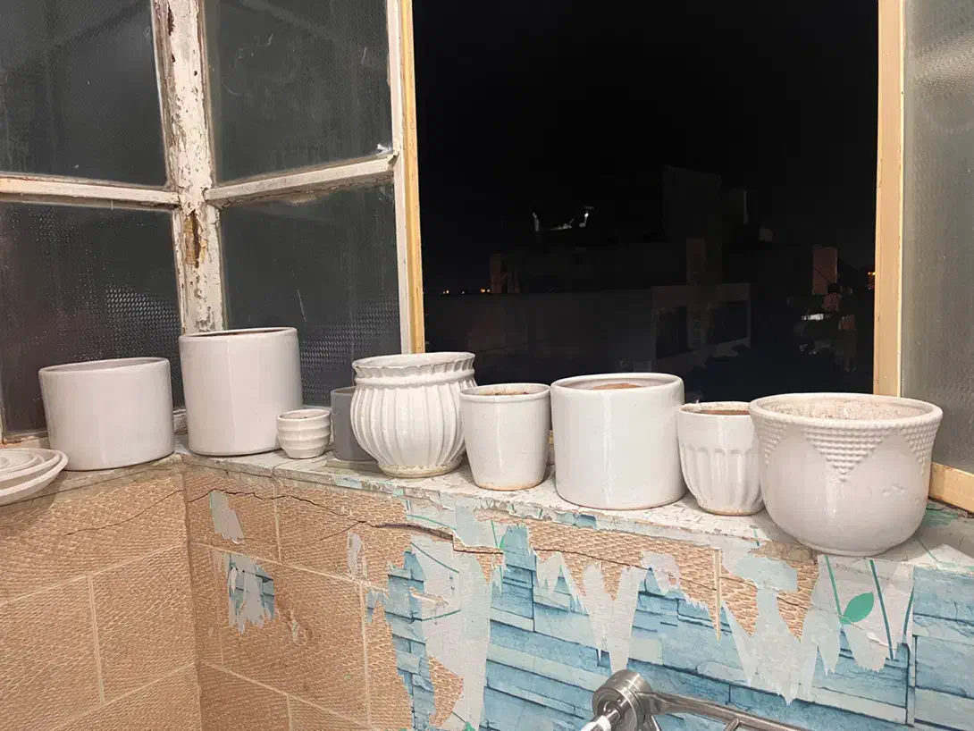 گلدان|گل و گیاه طبیعی|بوشهر, |دیوار