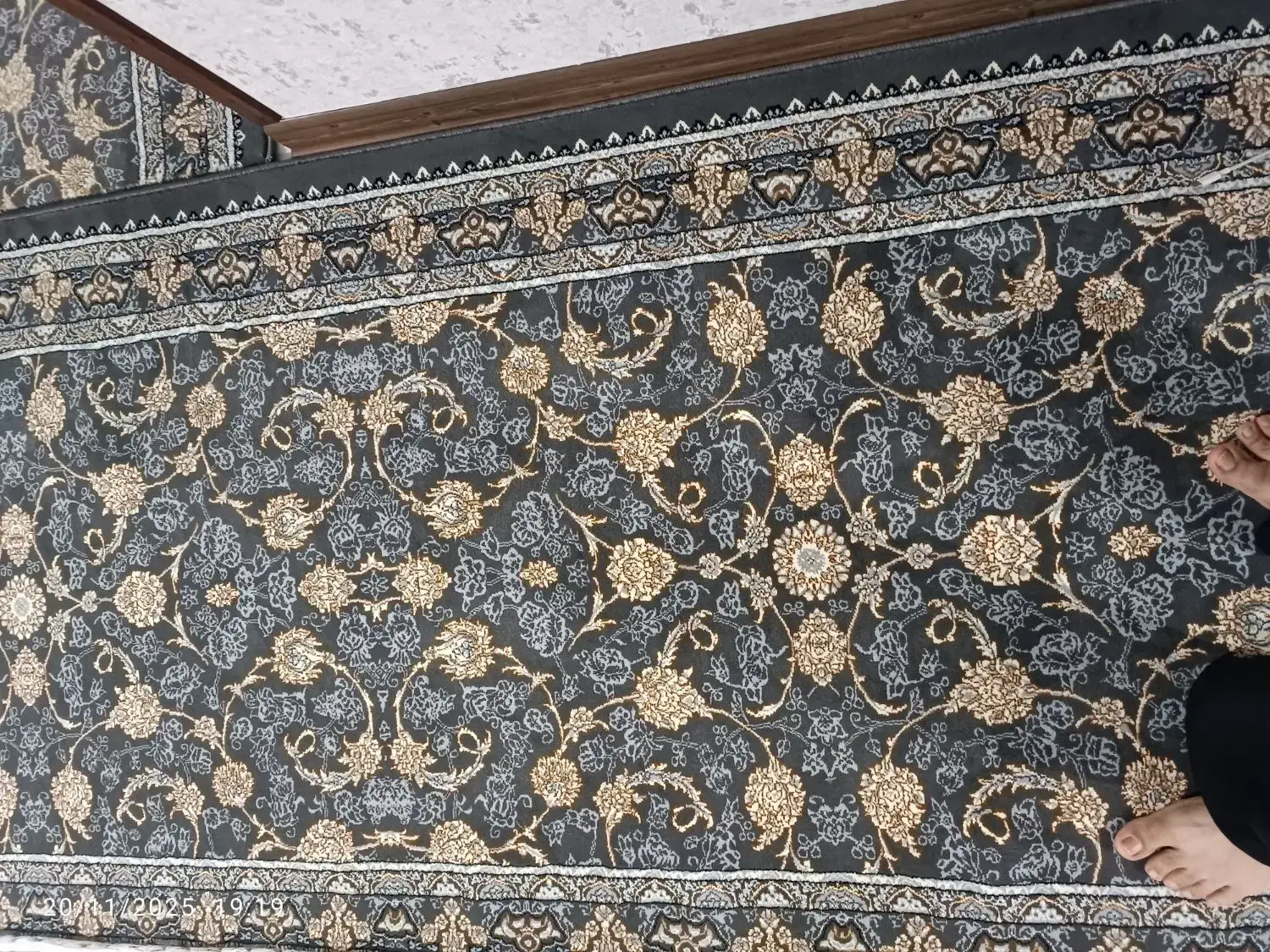 فرش نو نو سه روزه خریدم با فرش هام هم خونی نداره|فرش|کرج, سی متری صنعتکاران|دیوار