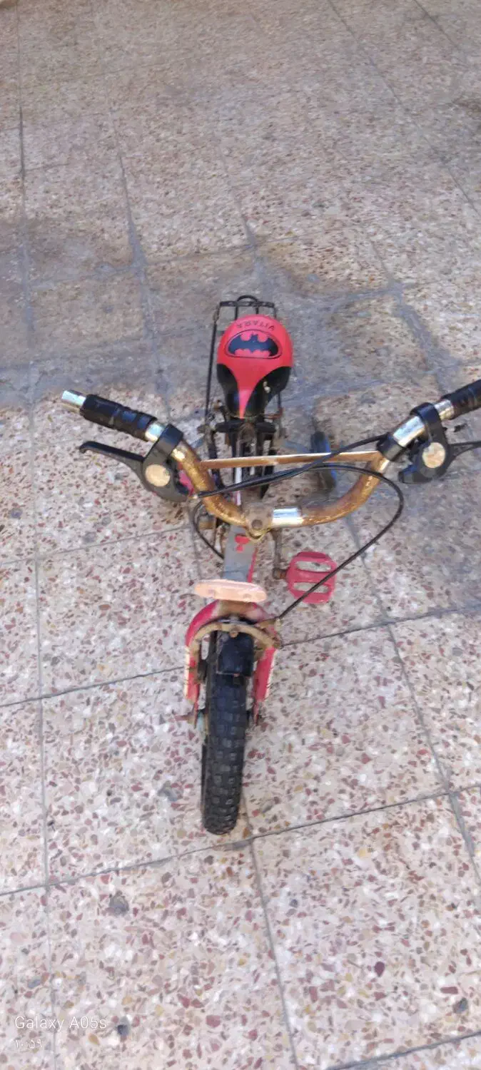 دوچرخه ۱۲|دوچرخه، اسکیت، اسکوتر|بندر ماهشهر, |دیوار