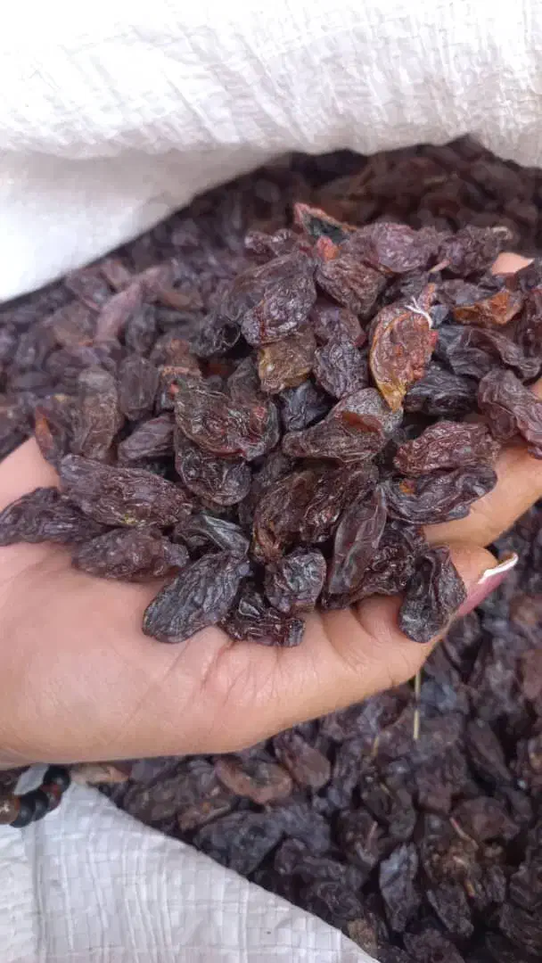 حراج مویزگوشتی درجه یک|خوردنی و آشامیدنی|شیراز, شهرک ترکان|دیوار