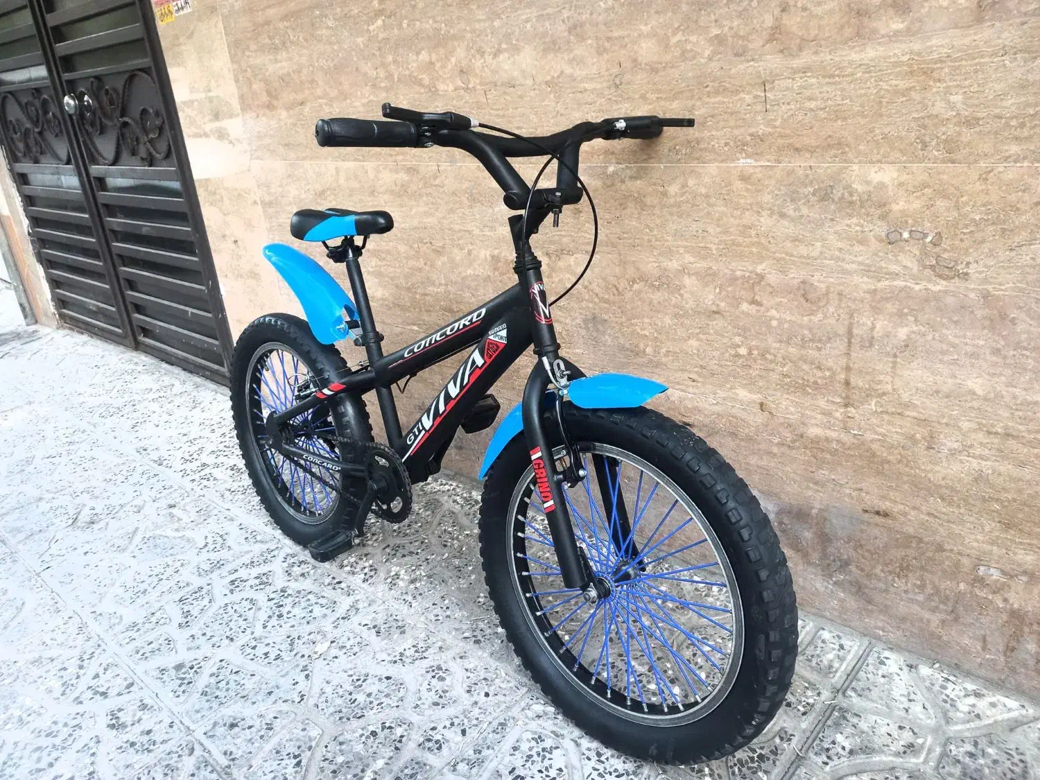 دوچرخه ویوا لاستیک پهن ساحلی سایز۲۰|دوچرخه، اسکیت، اسکوتر|مشهد, شفا|دیوار