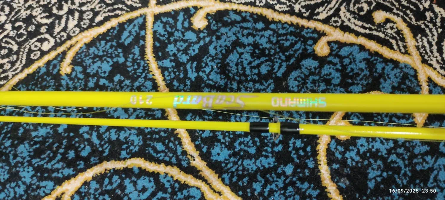 لنسر|ماهیگیری|اهواز, سیاحی(سه راه خرمشهر)|دیوار