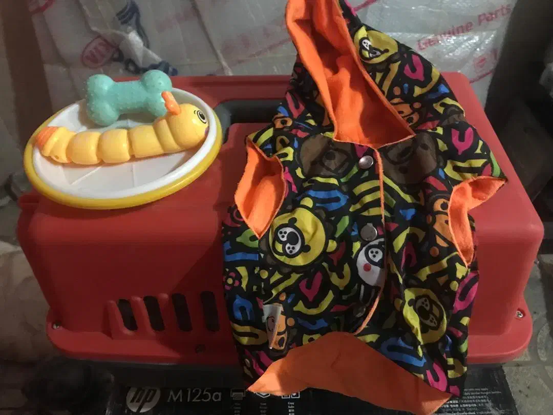 باکس ولباس واسباب بازی سگ آپارتمان|لوازم جانبی حیوانات|ورامین, ورامین|دیوار