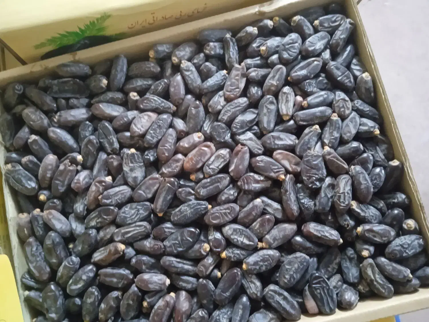 خرما درجه یک مضافتی به قیمت عالی|خوردنی و آشامیدنی|بمپور, |دیوار