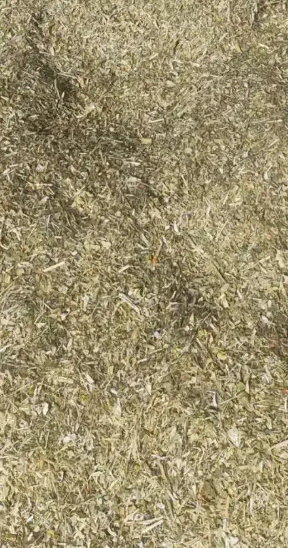 کاه لوبیا|عمدهفروشی|اسفراین, |دیوار