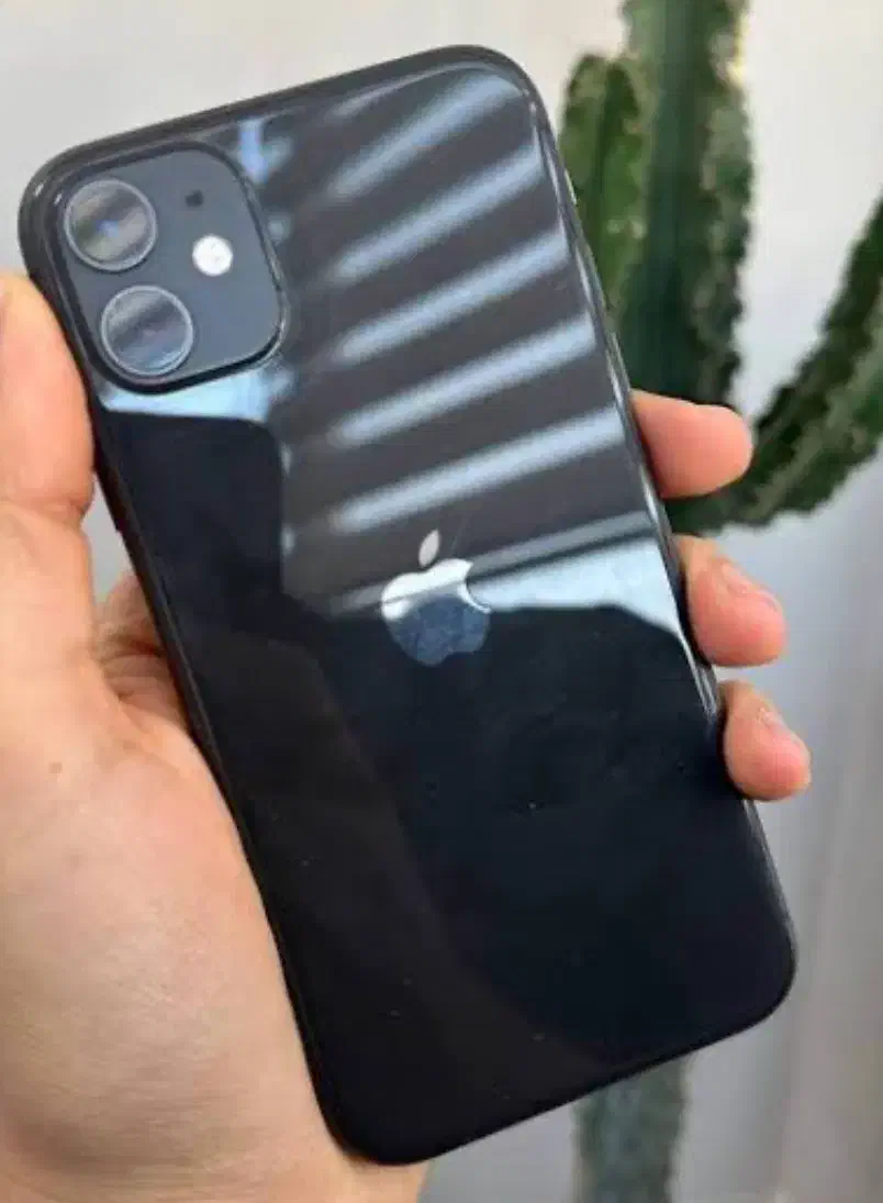 ایفون ۱۱|موبایل|مشهد, سید رضی|دیوار