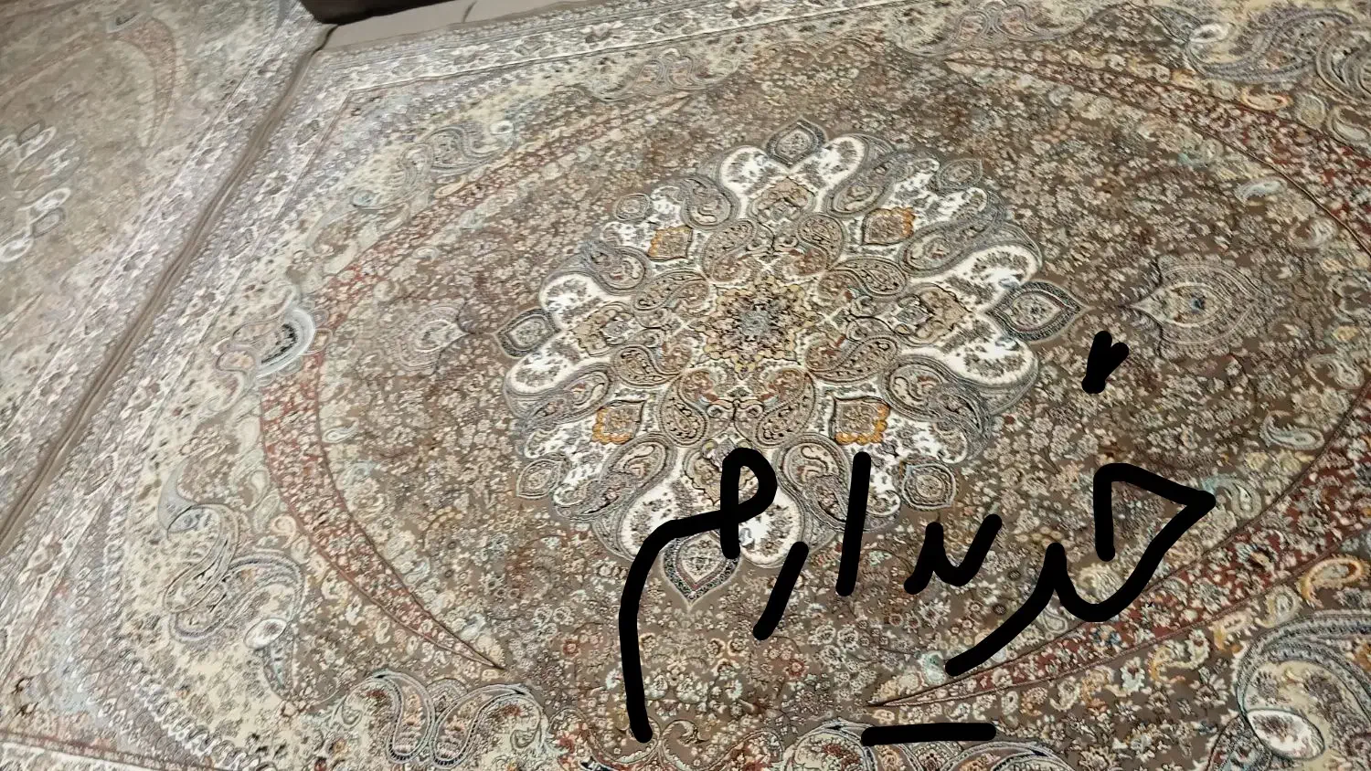 فرش ۹ متری|فرش|بیرجند, |دیوار