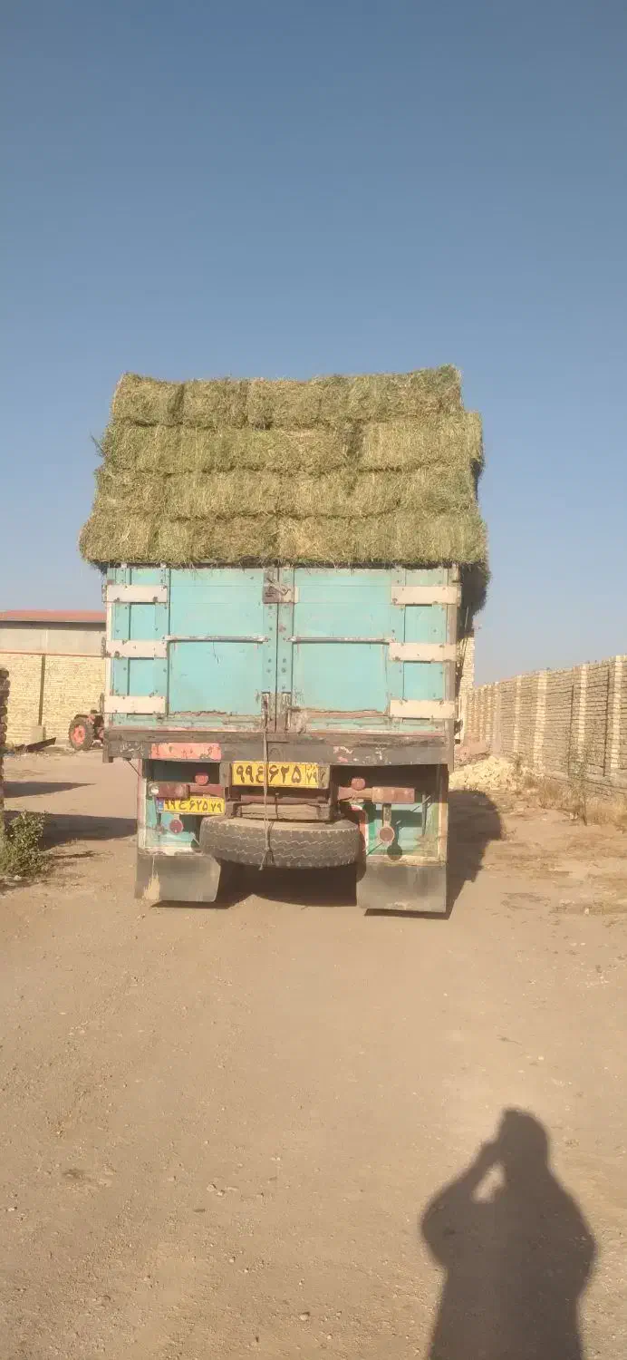 یونجه خورد شده و پرس|حیوانات مزرعه|کوهین, |دیوار