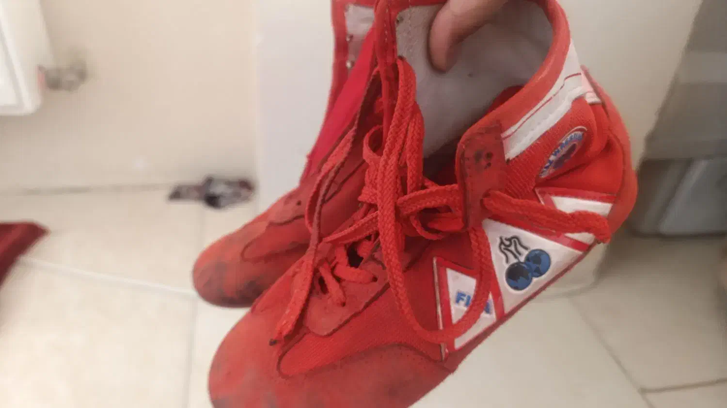 کفش کشتی اراز|کیف، کفش، کمربند|تبریز, |دیوار