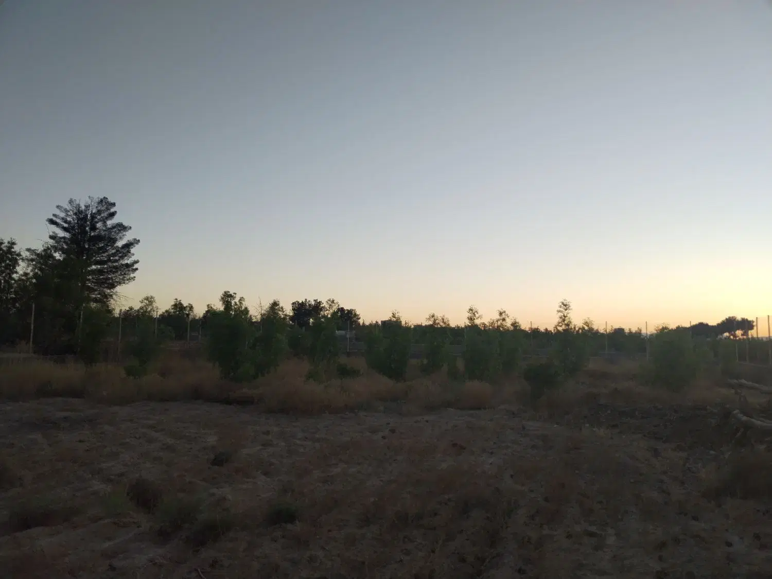 تصویر 11