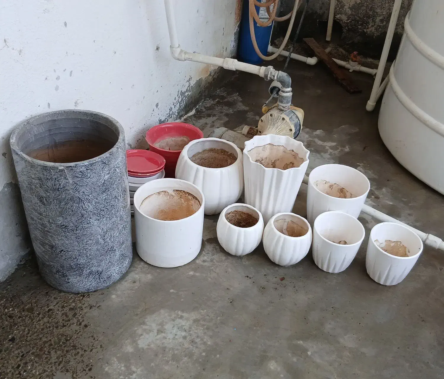 گلدان فروشی|گل و گیاه طبیعی|کنارک, |دیوار