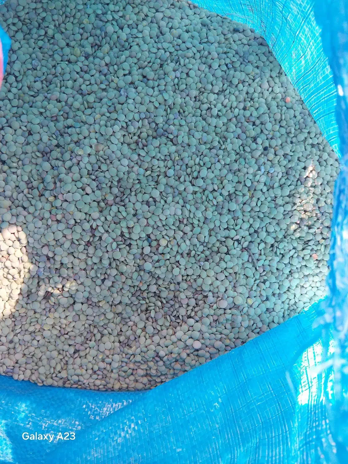 عدس تازه زودپزخوش طعم|خوردنی و آشامیدنی|اهر, |دیوار