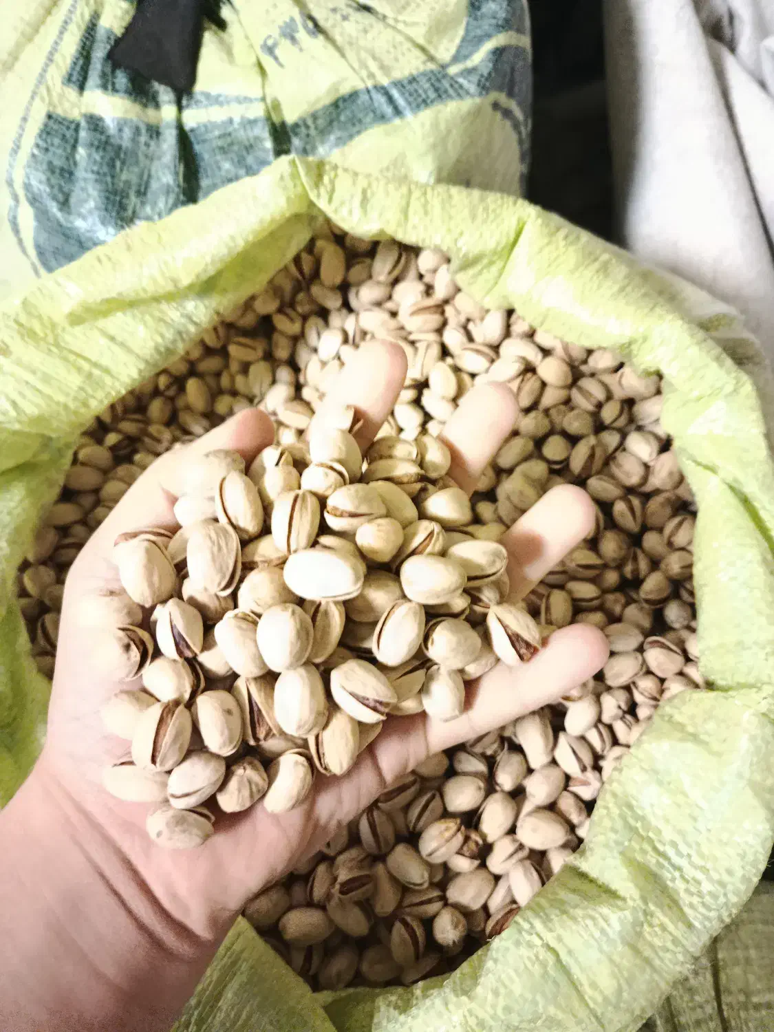 پسته کله قوچی دستچین شده درجه یک|خوردنی و آشامیدنی|تهران, سهروردی|دیوار