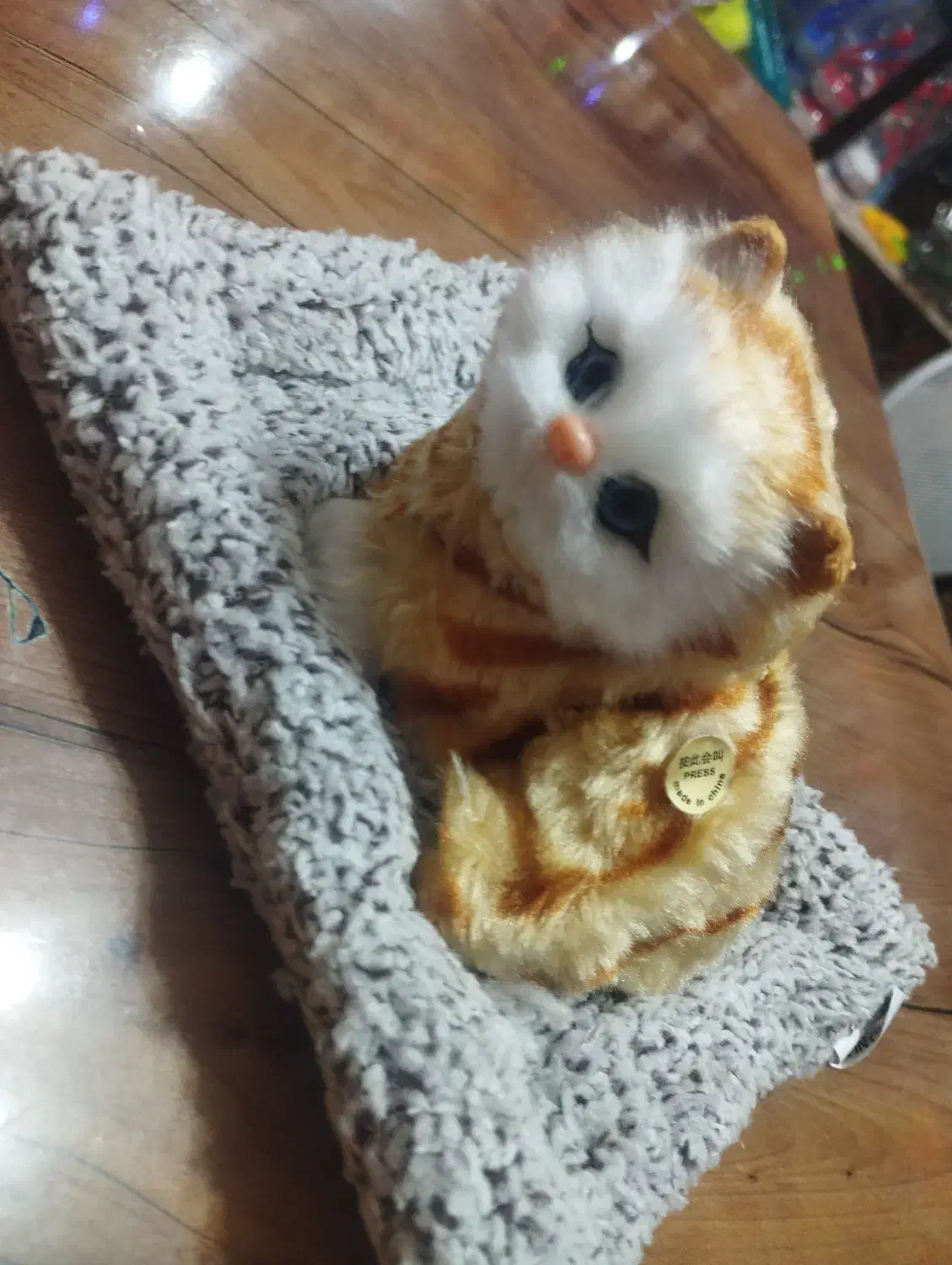 گربه ی صدا دار انواع رنگ برای تولد و انواع مناسبت|اسباببازی|مهاباد (آذربایجان غربی), |دیوار