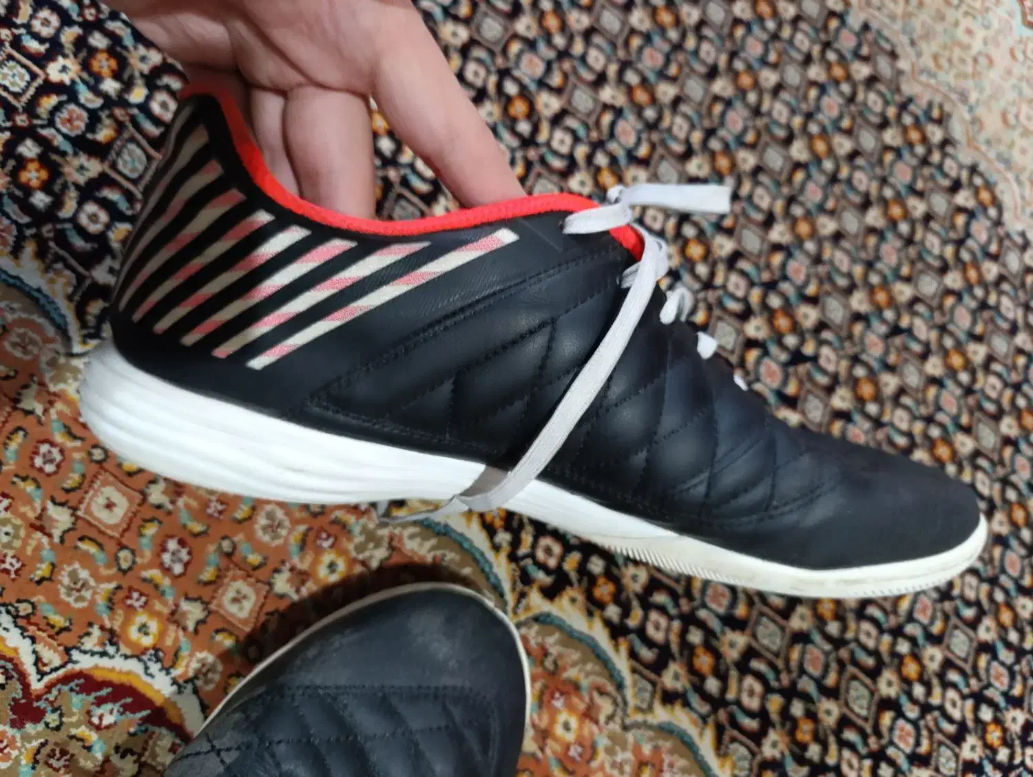 کفش فوتسال لونار گتو|کیف، کفش، کمربند|تبریز, |دیوار