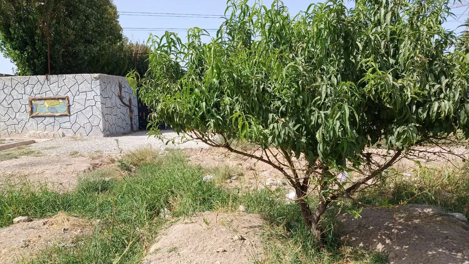 باغ،باغچه ۷۰۰متر جاده آدران شهریار|فروش دفتر صنعتی، کشاورزی، تجاری|صباشهر, |دیوار