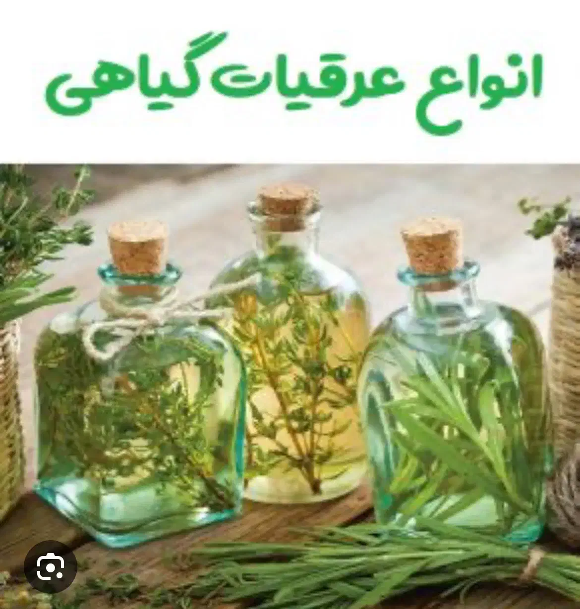 پخش انواع عرقیجات وگلاب وابلیمو|عمده‌فروشی|مشهد, شیرودی|دیوار