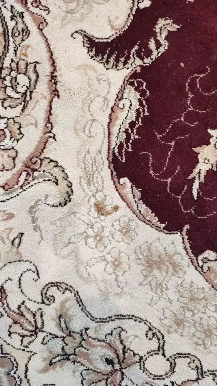 فرس|فرش|کاشان, سرپله جدید|دیوار