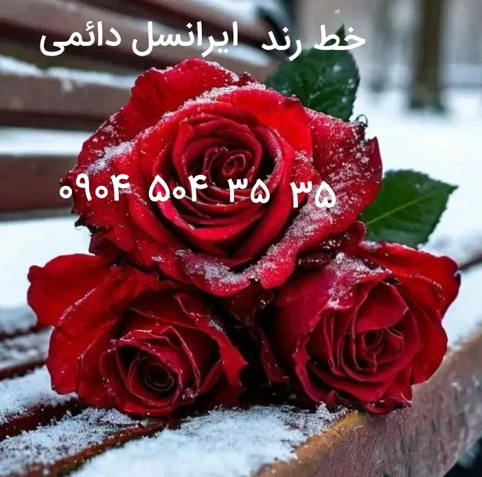 0904.504.35.35|سیم‌کارت|مشهد, طلاب|دیوار