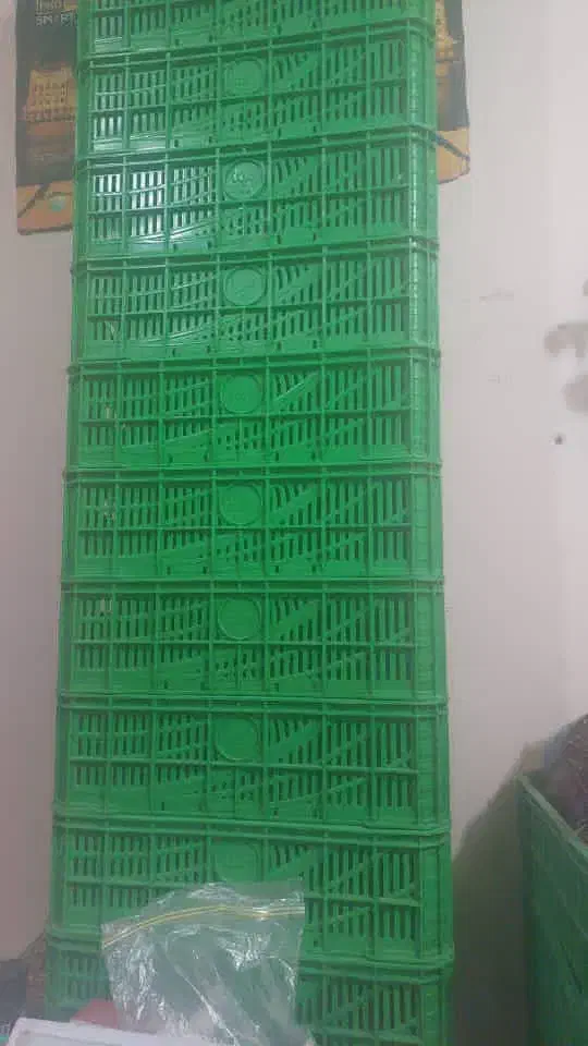 سبد مرغ و سبزی|ظروف نگهدارنده، پلاستیکی، یک‌بارمصرف|باوی, |دیوار