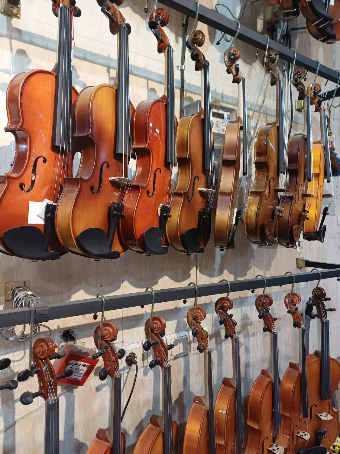 آموزش ویلون/خرید و فروش/تی اف/آماتی|ویولن|گلبهار, شهر جدید گلبهار|دیوار