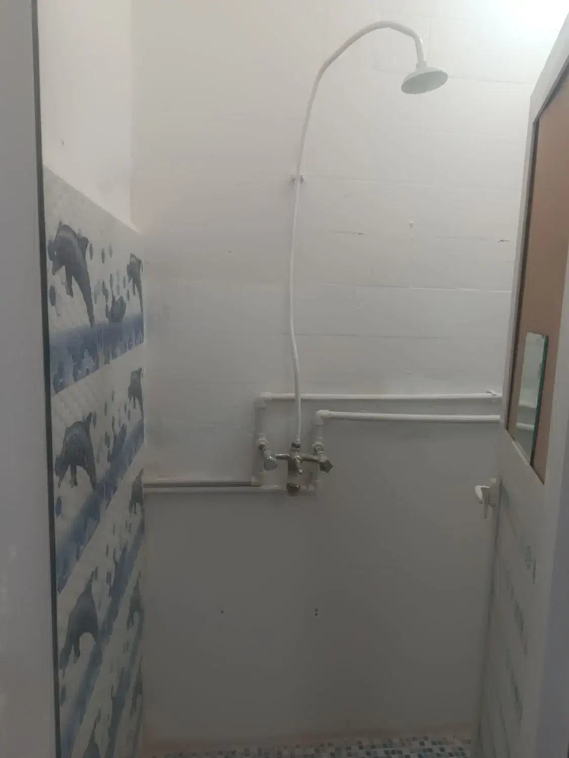 سوییت مناسب|اجارهٔ کوتاه‌مدت آپارتمان و سوئیت|اندیمشک, |دیوار