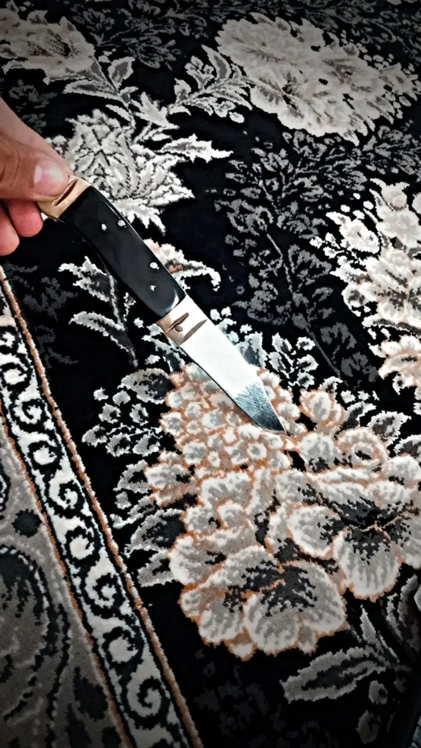 سلام چاقو خیلی تیز نیس مشتری واقعی پیام بده|کوهنوردی و کمپینگ|جهرم, |دیوار