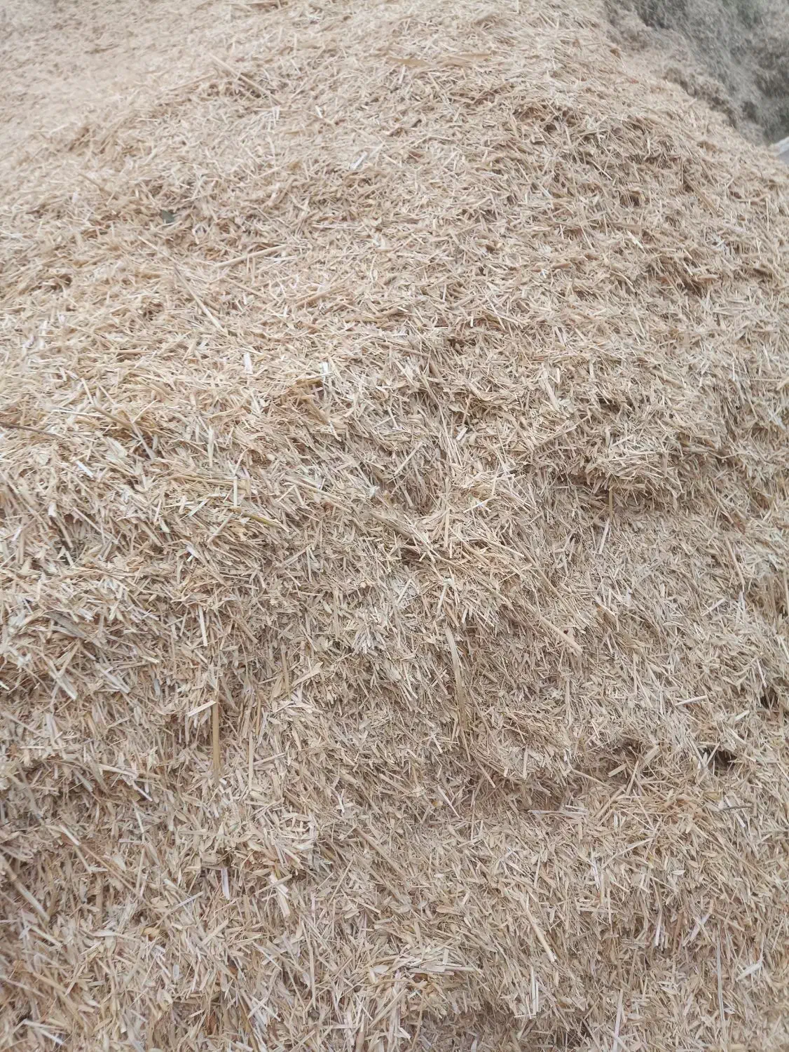 کاه لوبیا و کاه سفید|لوازم جانبی حیوانات|پاسارگاد, |دیوار