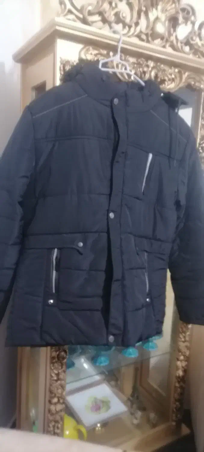 کاپشن مردانه|لباس|بم, |دیوار