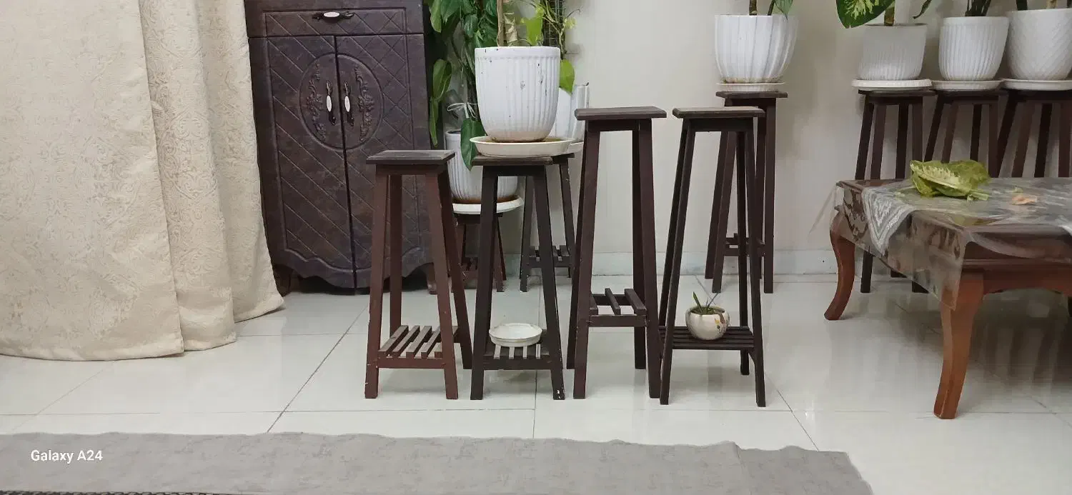 گل گیاه|گل و گیاه طبیعی|مشکیندشت, |دیوار