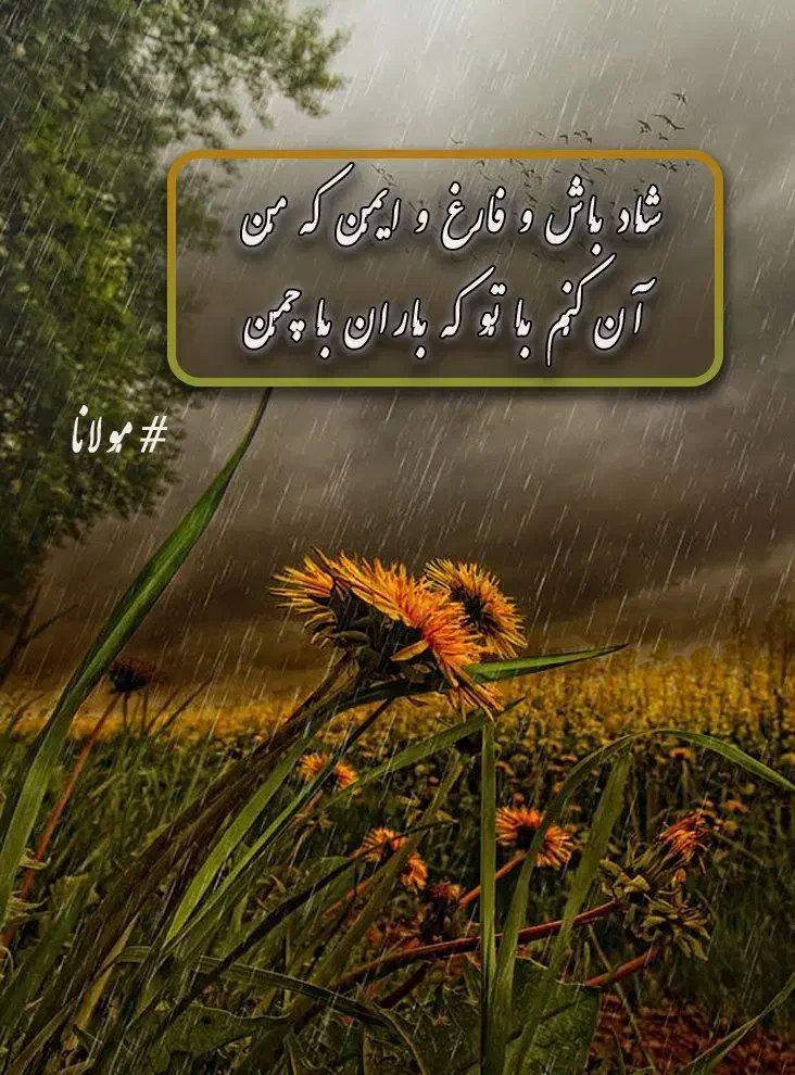تدریس خصوصی انگلیسی،عربی و ادبیات فارسی|خدمات آموزشی|سقز, |دیوار