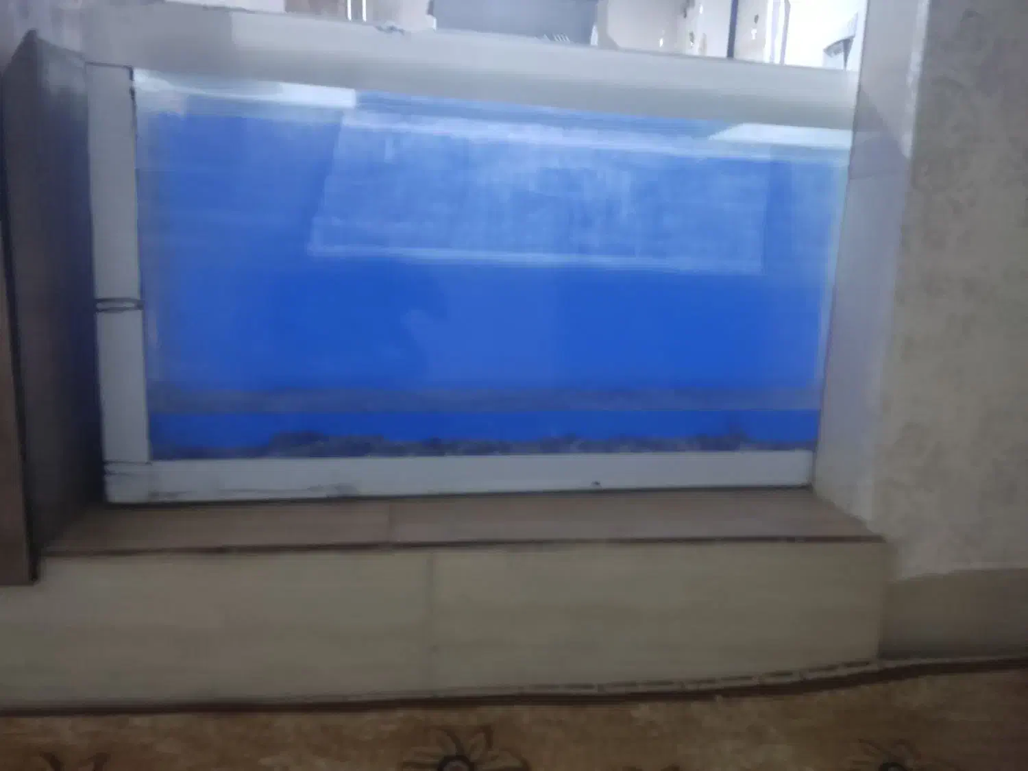 آکواریوم|ماهی|خرمآباد, |دیوار