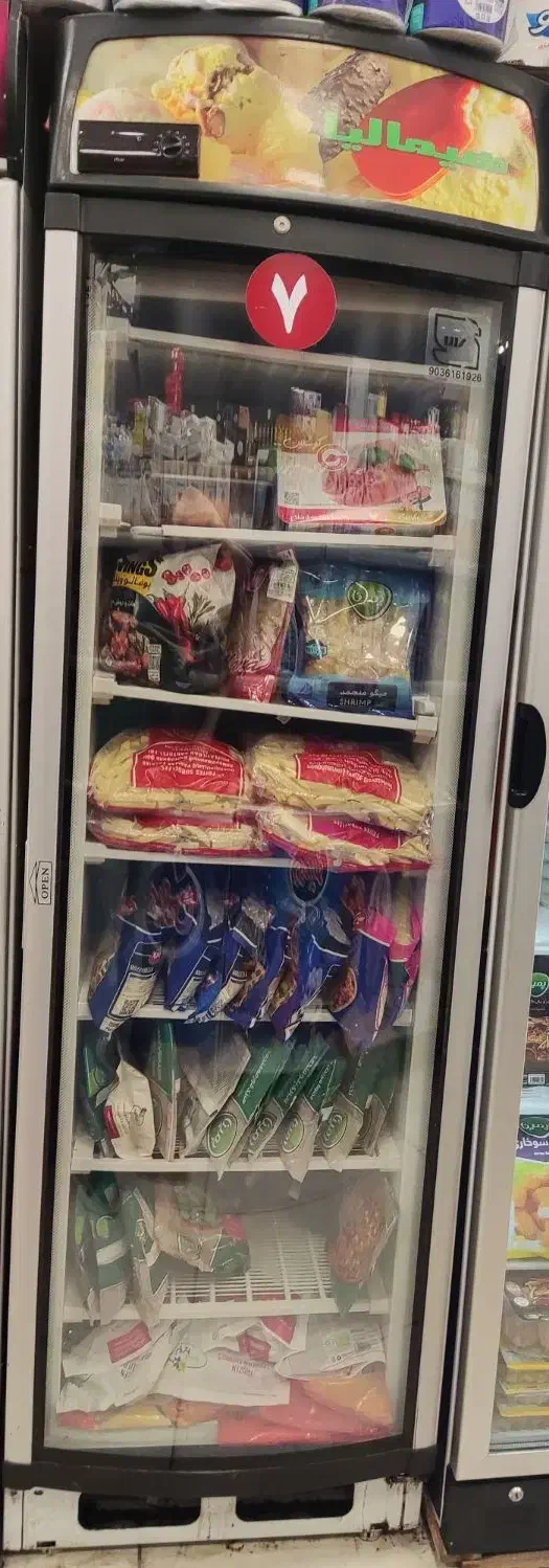 فروش یخچال ایستاده فروشگاهی|فروشگاه و مغازه|رشت, کاکتوس|دیوار