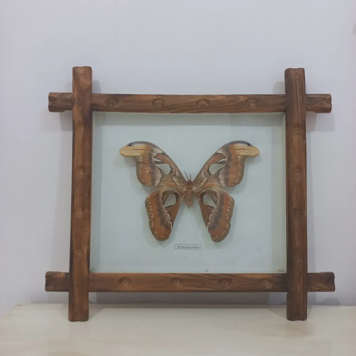 قاب تزیینی|تابلو، نقاشی، عکس|امیدیه, |دیوار