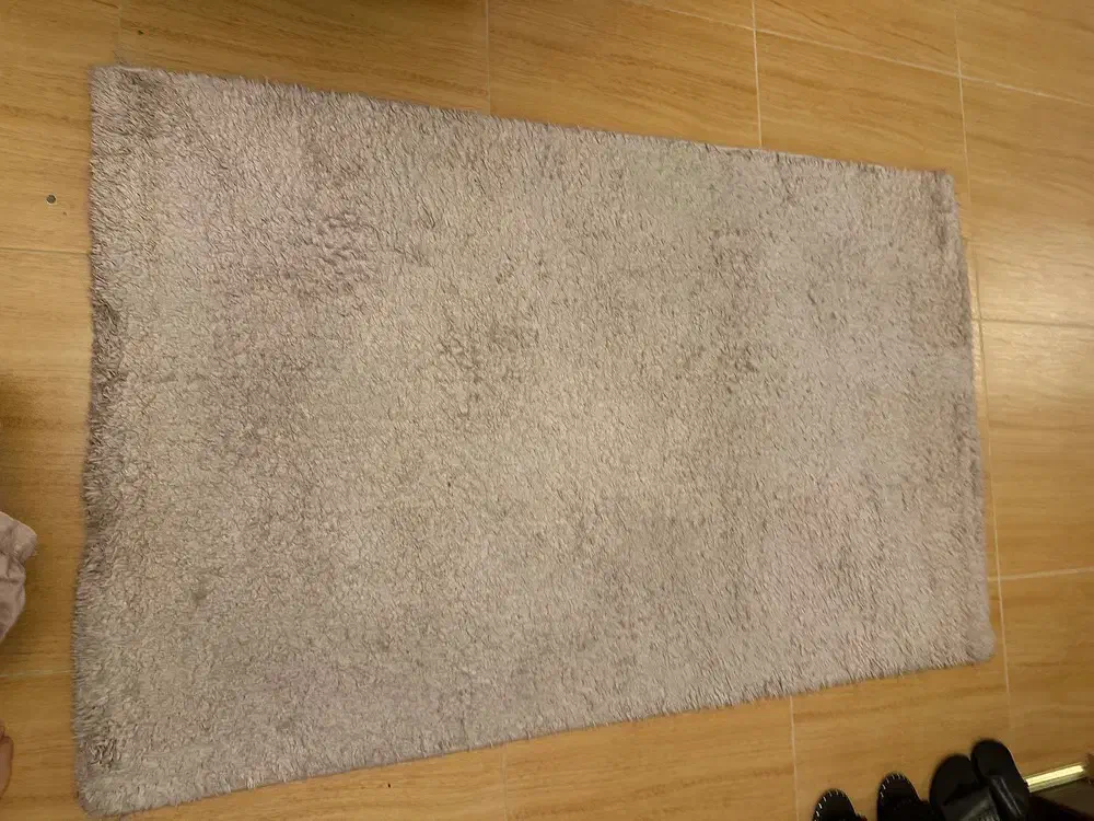 فرش صورتی|فرش|رشت, استادسرا|دیوار