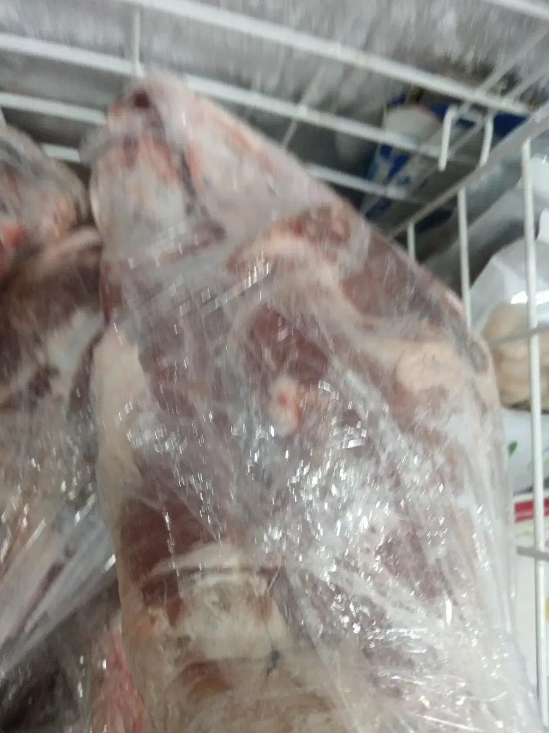 گوشت منجمد قلوه گاه گوساله|حراج|سنندج, |دیوار