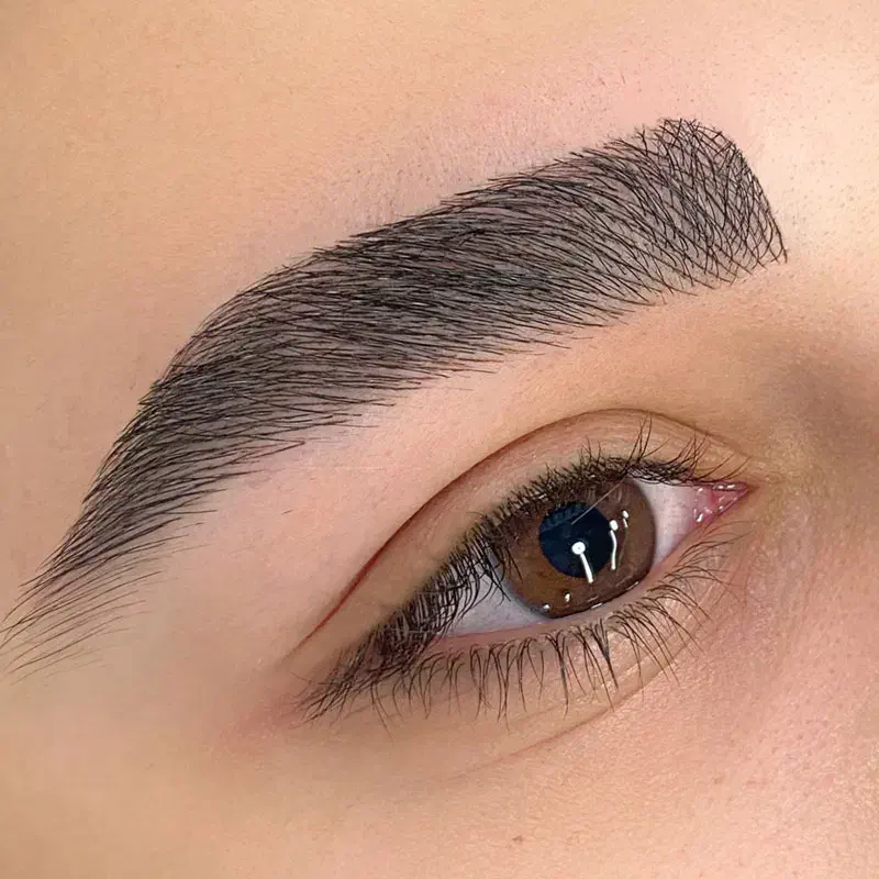 جشنواره آبان۴۰درصدی خدمات آرایش دائم فقط ۶ساعت|خدمات آرایشگری و زیبایی|نیشابور, شهرک فرهنگیان|دیوار